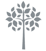 holz icon